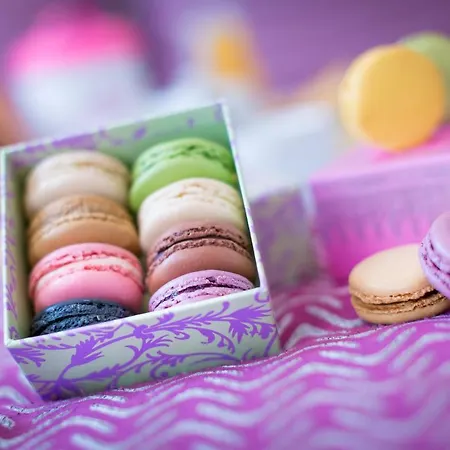 호텔 La Petite Rosa