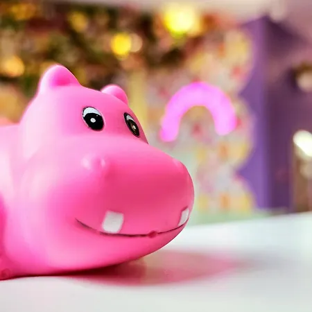 호텔 La Petite Rosa 파리